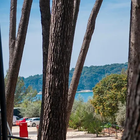 Mobile Masa 163, Camp Porton Biondi Camping *