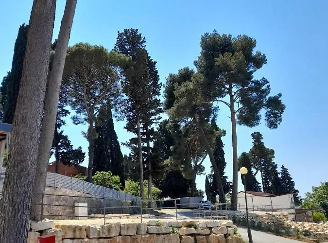 Mobile Masa 163, Camp Porton Biondi *